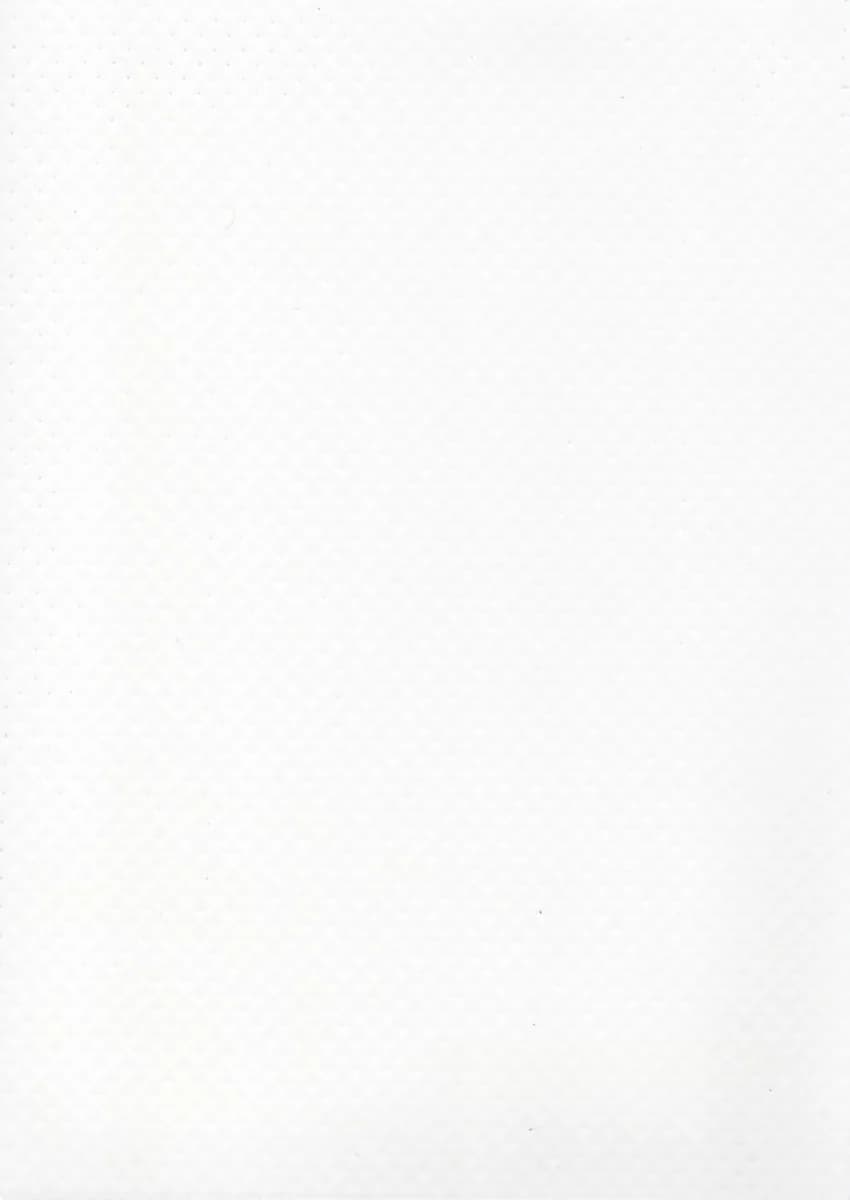 PVC lichid Elbtal Elite  – Arctic White 950ml - imagine 2