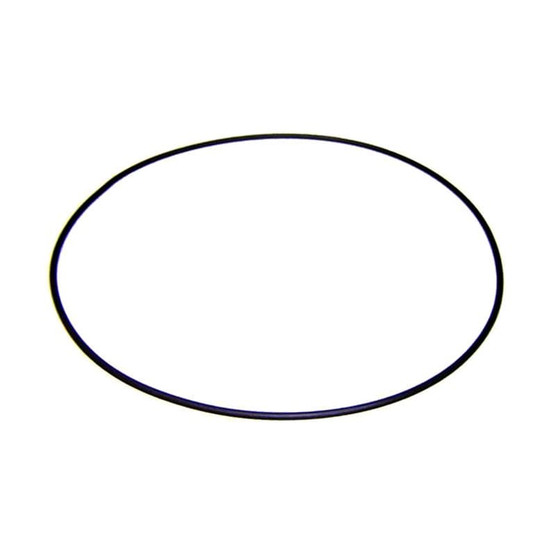 O-ring pentru etansare corp de motor pompa Astral Pool Victoria si Nautilius